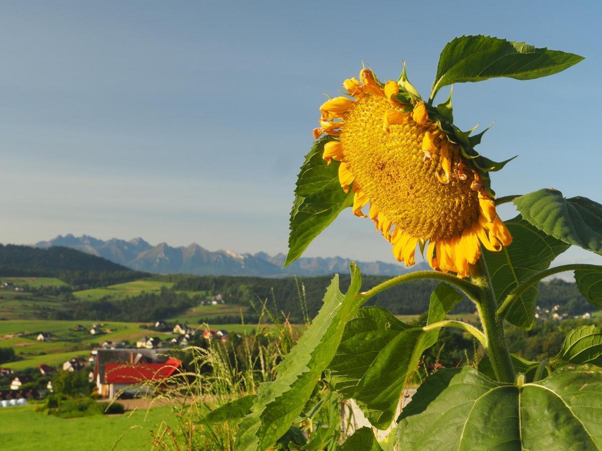 Loft&Hill Villa Grywald Eksteriør billede